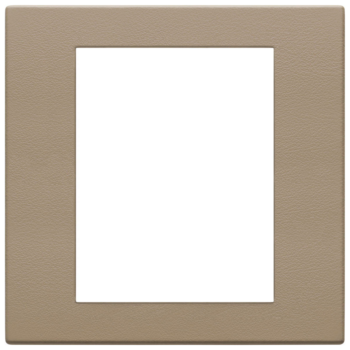 Placa (rama) ornamentala