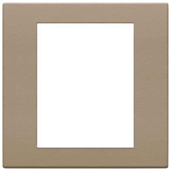 Placa (rama) ornamentala