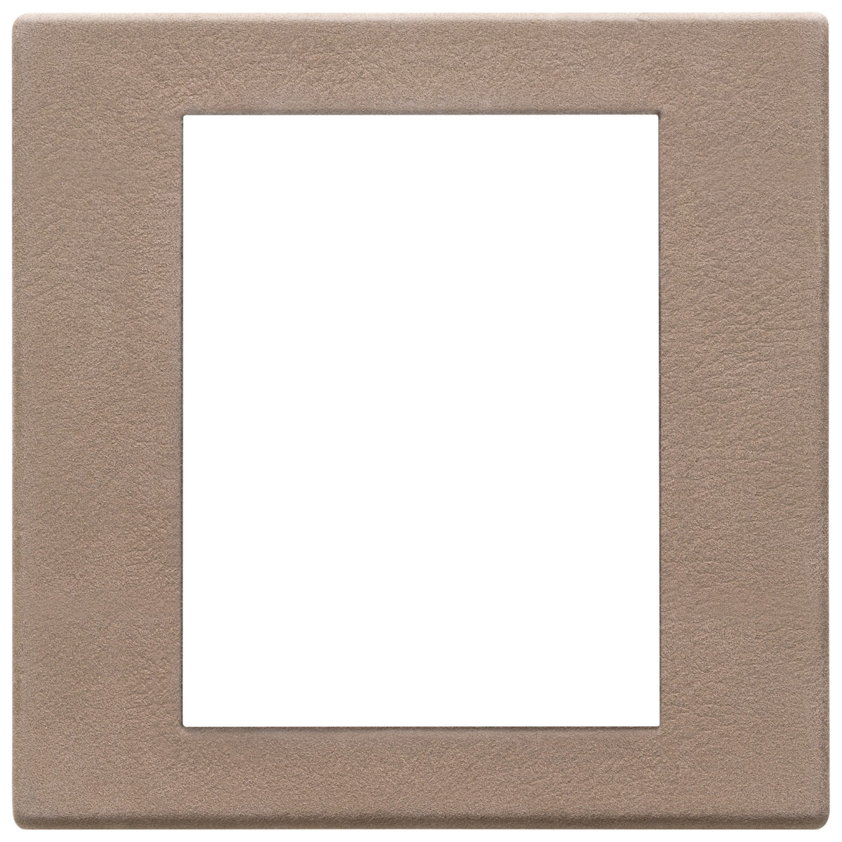 Placa (rama) ornamentala