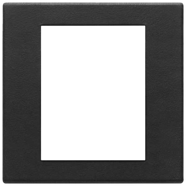 Placa (rama) ornamentala