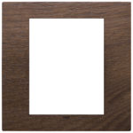 Placa (rama) ornamentala