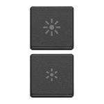 22751.3.03 2 butoane cu simbol reglaj VIMAR Eikon Exe Flat gri