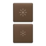 22751.3.12 Две накладки на клавиши значок управления Серия Eikon Exe Flat бронзовые