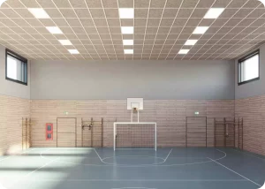 placa acustica Heardesign knauf ceiling solutions, placa fibra de lemn, placa rezistenta la impact, акустические панели Heardesign knauf ceiling solutions, панели из деревсного волокна, панели из древесной шерсти, ударопрочные панели