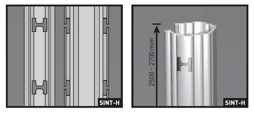 SINT-H